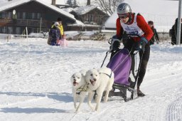 Lenk 2012 SM